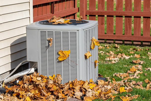 Best Air Filters and Purifiers in Chandler, AZ